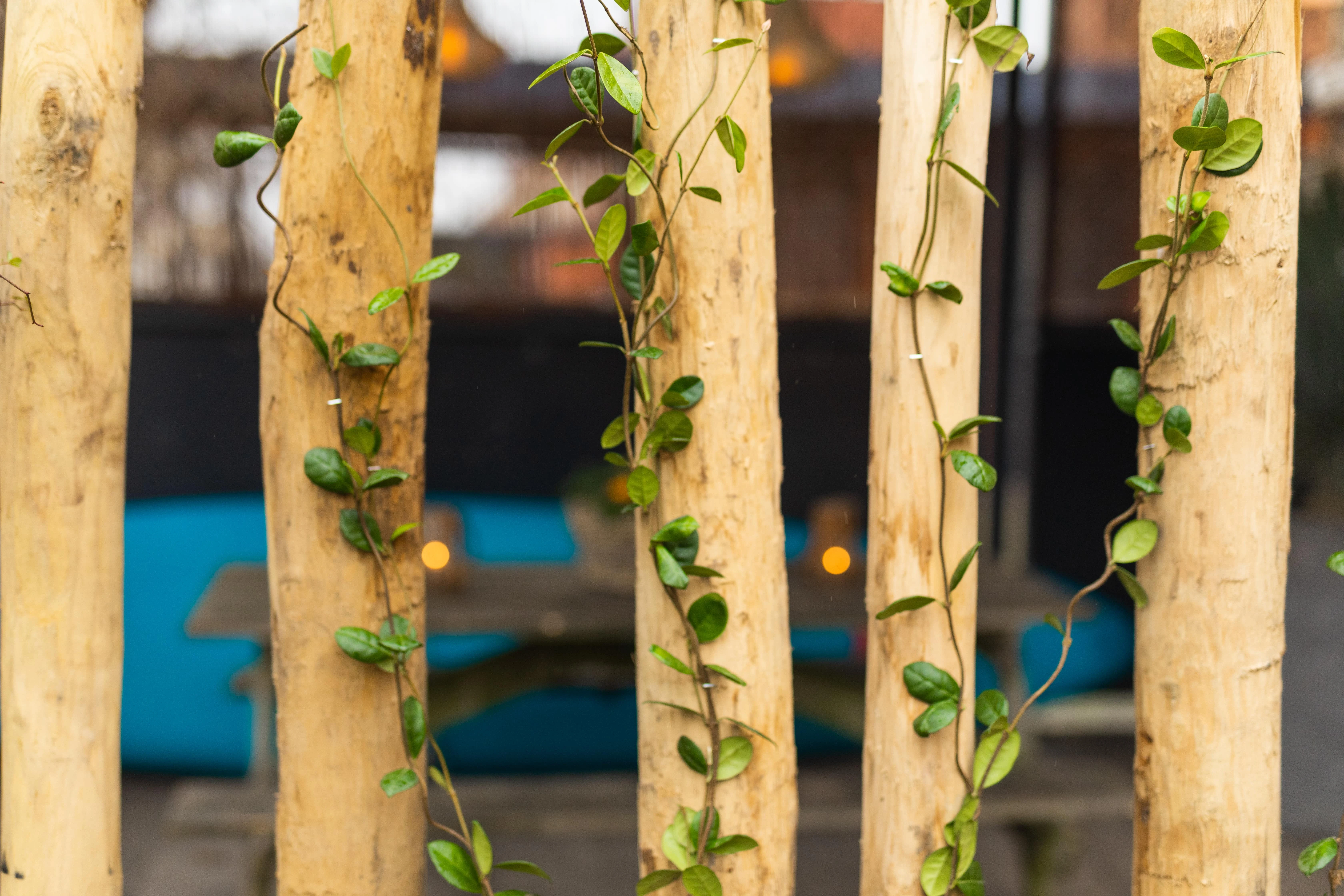 Kastanje Paal Ø 10/12 cm (100/120 mm) Geschild - Lengte 250 cm - Afbeelding 4